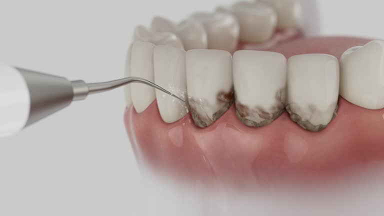 Reliable Dental contractor in North Muskegon, MI by Dentist Open Now